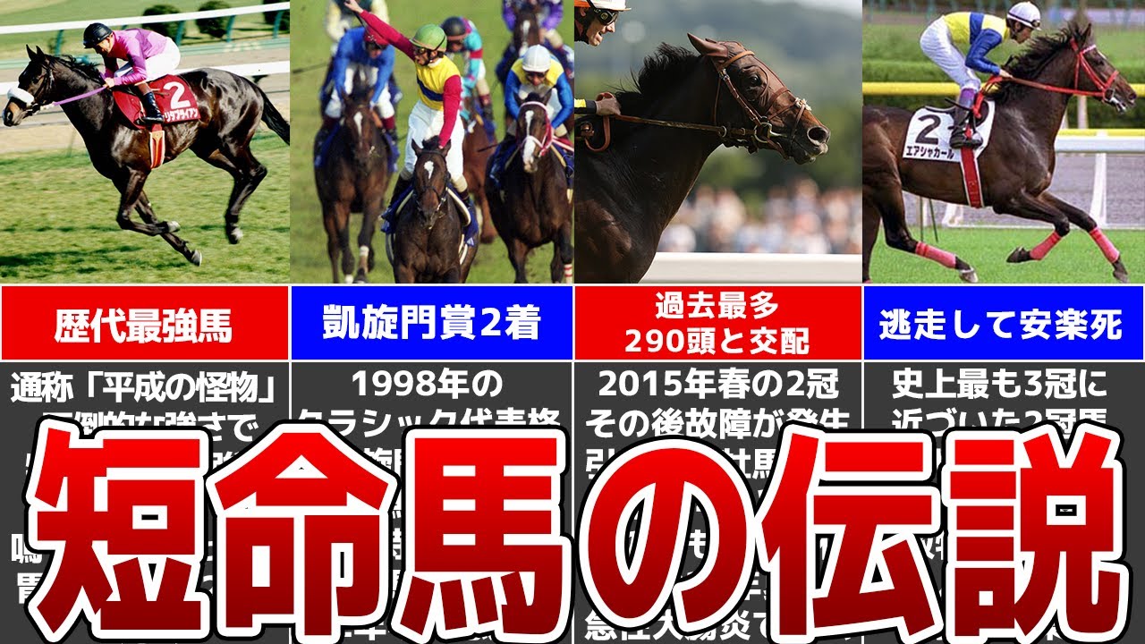 競馬【追悼】本当の短命馬！早逝した伝説の名馬たち7選！【種牡馬編】