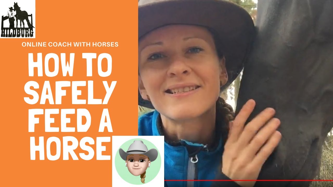 How to feed a carrot to a horse without having it biting your finger