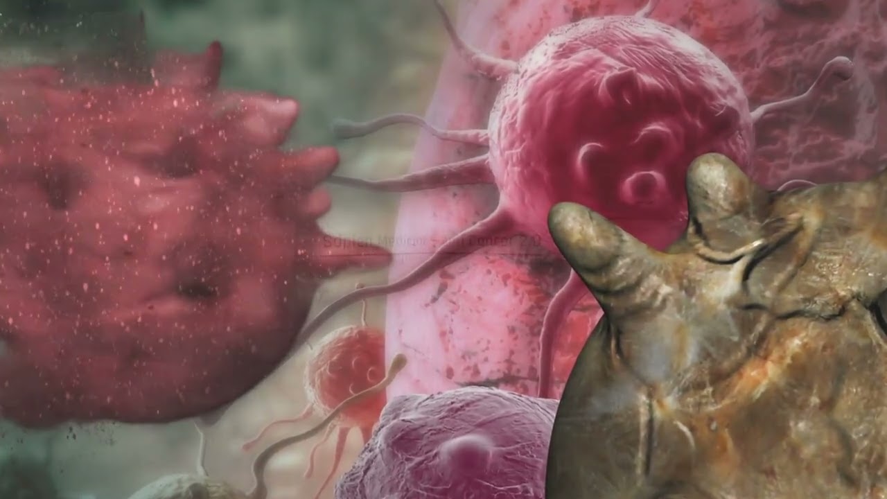 Anti Cancer ver. 2.0 by Sapien Medicine