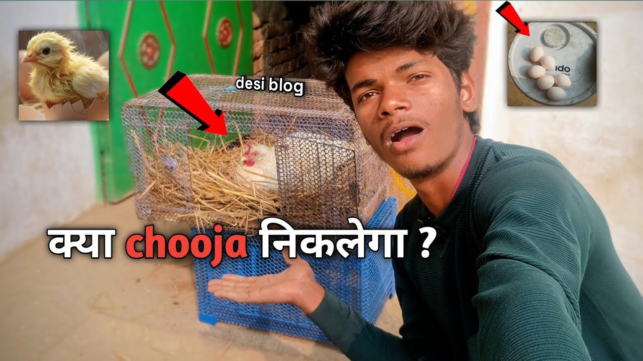 Kya Chooja Niklega? 🤣🐔 | Murgi Ko Anda Par Baithaya | Funny Desi Vlog