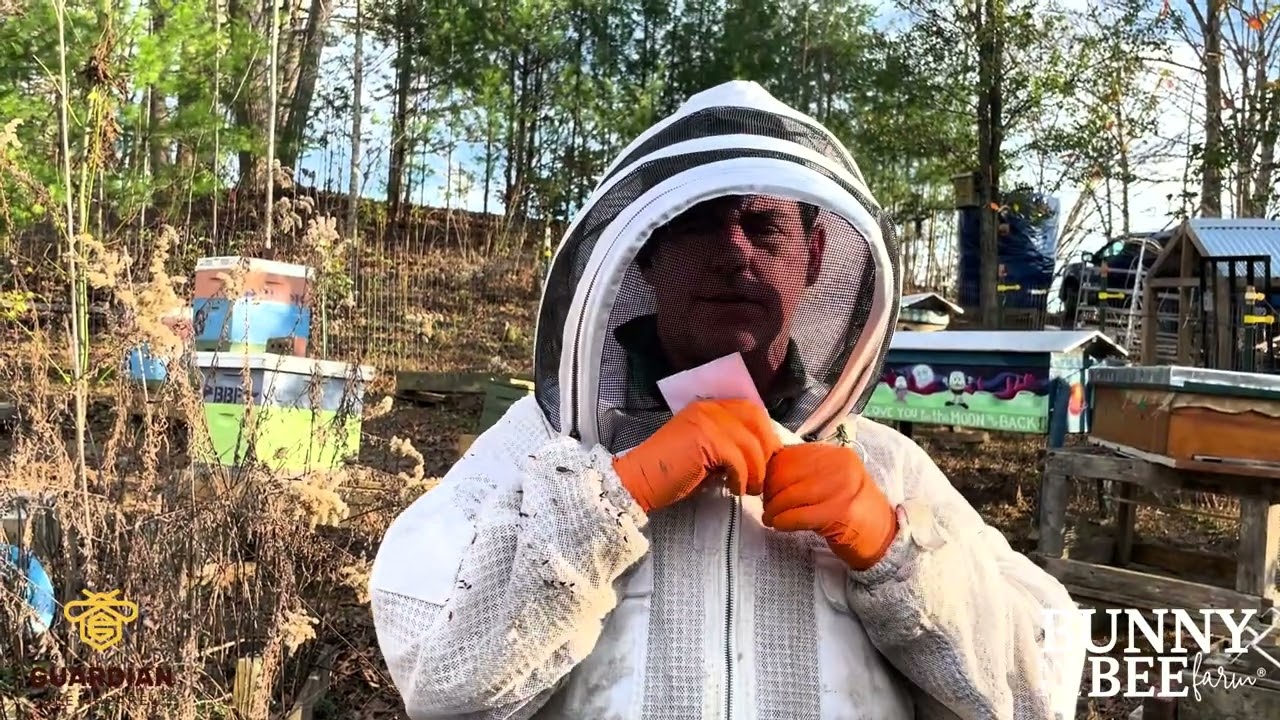 Our Final (updated) Review Of The Guardian Bee Suit