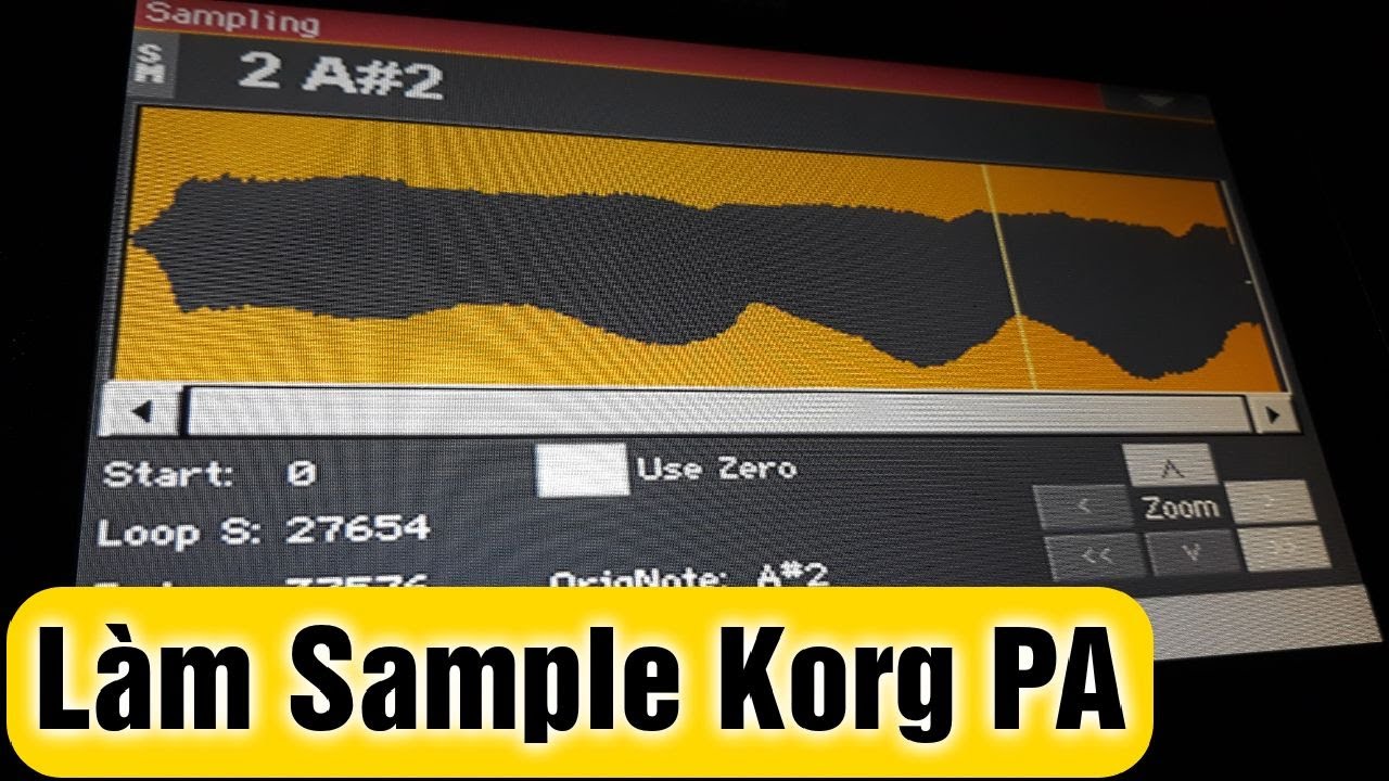 Hướng Dẫn Làm Sample Trên KORG PA | VNKEY