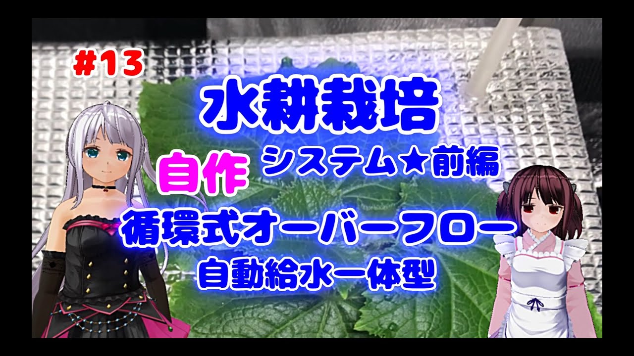 #13『水耕栽培システムを安く作る(前編)～循環式 オーバーフロー～』自動給水 グロウテント  室内栽培 キュウリ DIY