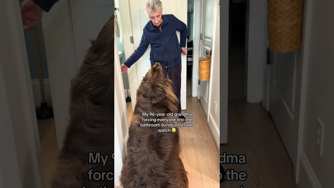 tornado watch behavior 😂😂