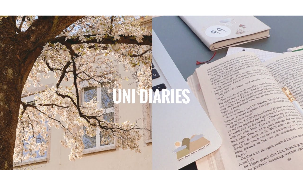 🌼 blossoms of my heart // uni diaries: studying and spring time