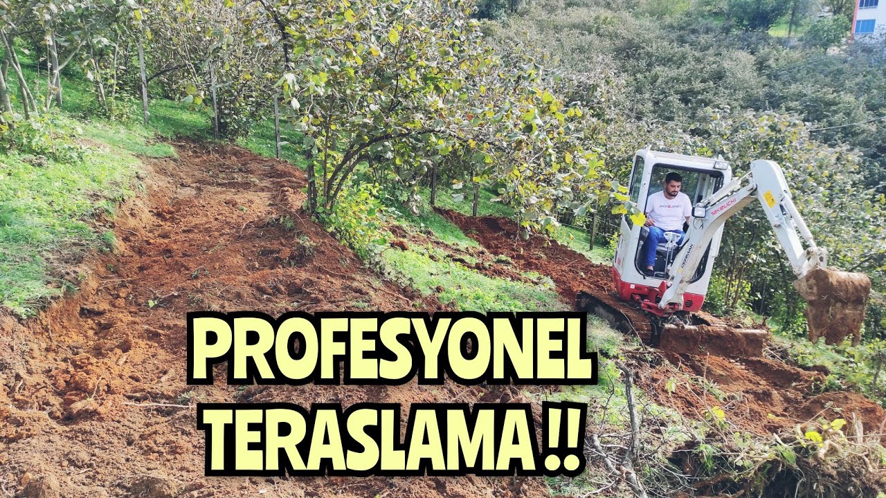FINDIKTA TERASLAMA ve Sıra Arası Dikim İle ÇEŞİT DEĞİŞİMİ | Takeuchi TB 216 Mini Ekskavatör