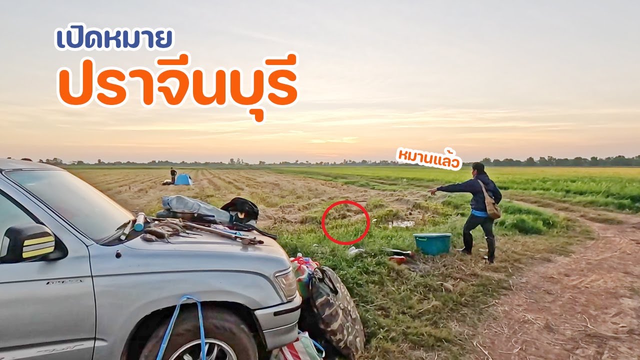 เปิดหมายใหม่ หาหนู ที่ปราจีนบุรี ครั้งแรก รอยหนูอะไร เยอะมาก