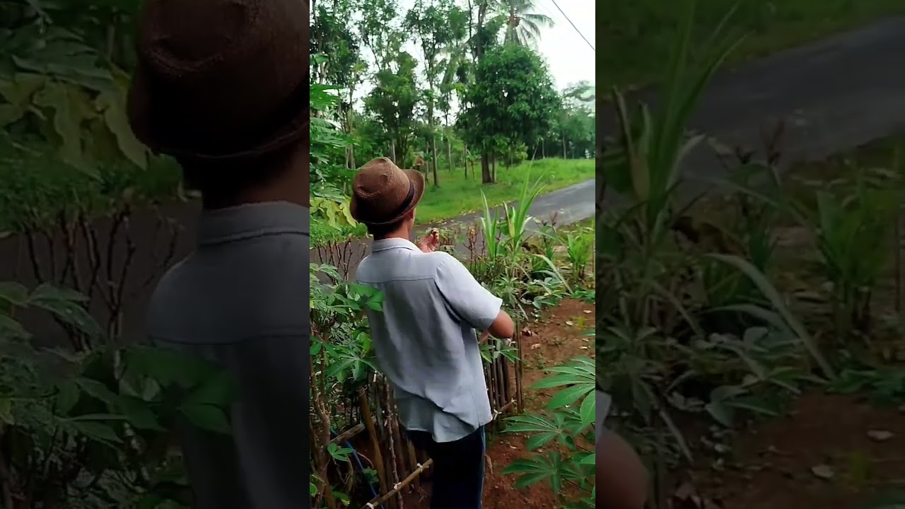 Ponakan gebleg nekad #hiburanrakya #komedi #fypシ゚viral #ruditapos#@sorotani 