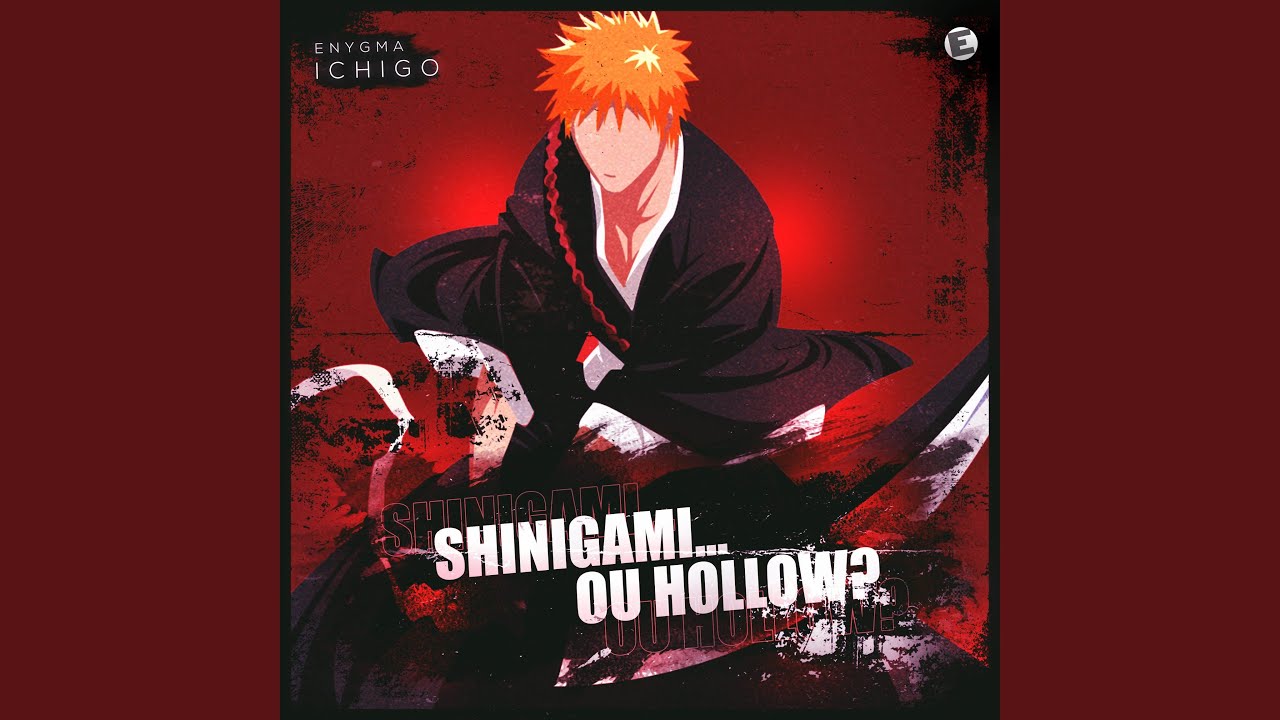 Shinigami... Ou Hollow (Ichigo)