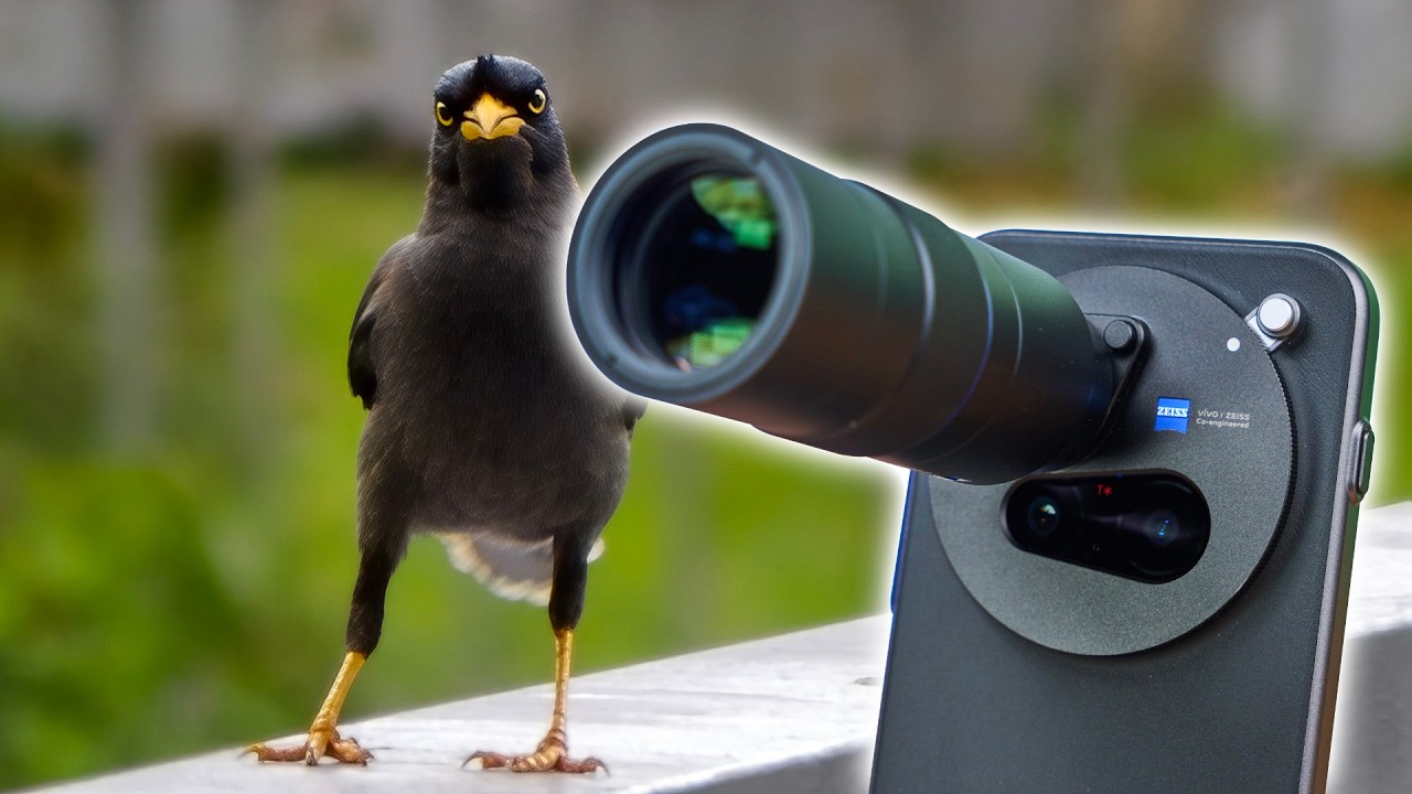 MASSIVE zooms! vivo X300 Pro camera review + Photographer Kit!