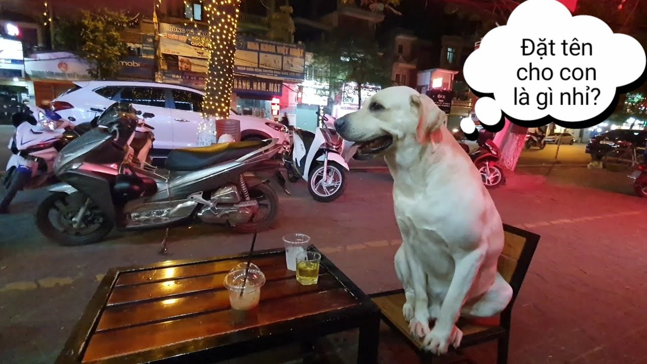 Tâm sự sắp làm cha - Củ Cải Kim Chi bảo vệ cho Nô rút tiền ATM