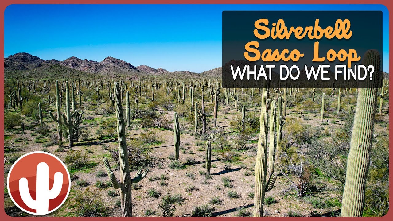 Off Road Arizona: Exploring Historic Remains and Scenic Beauty on the Silverbell-Sasco Loop