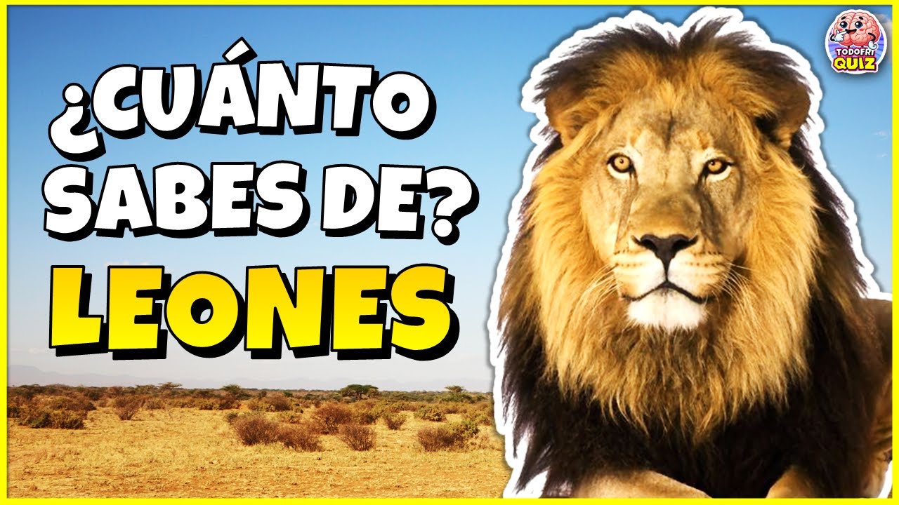 ✅¿Cuánto Sabes de 