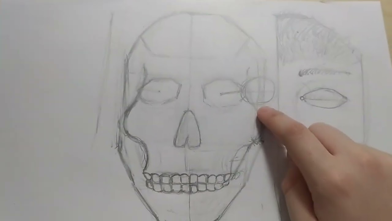 Рисую голову в разрезе