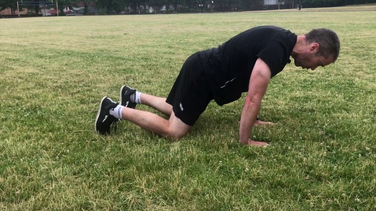 cat camel exercise progression