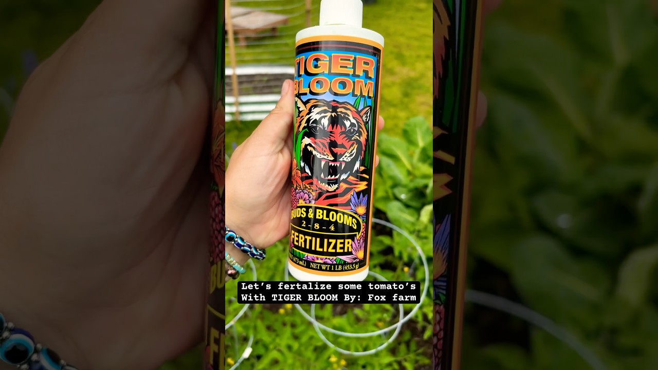 Not sponsored&hellip; just a really good organic fertilizer for your garden. #homestead #tomatoes #zone7a