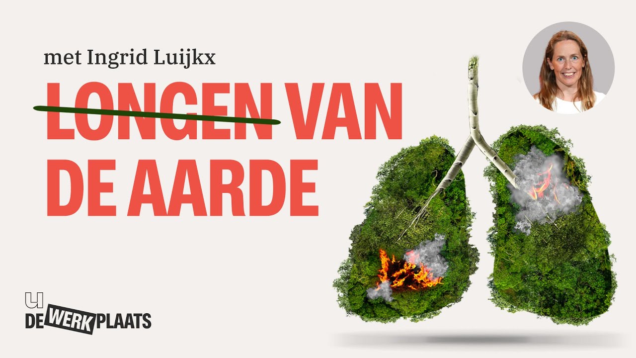 Bomen maken niet onze zuurstof