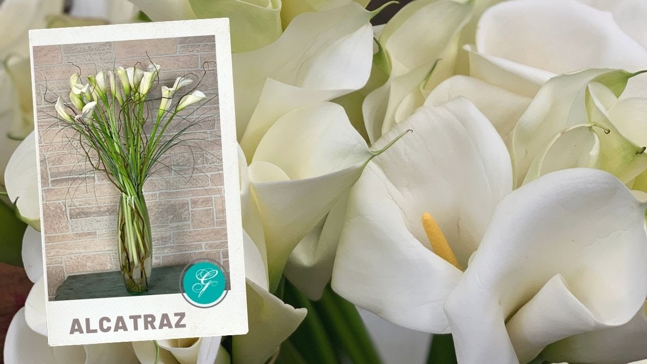 Arreglo floral con Alcatraz, Cartuchos o Callas ¿cómo les llamas tu?