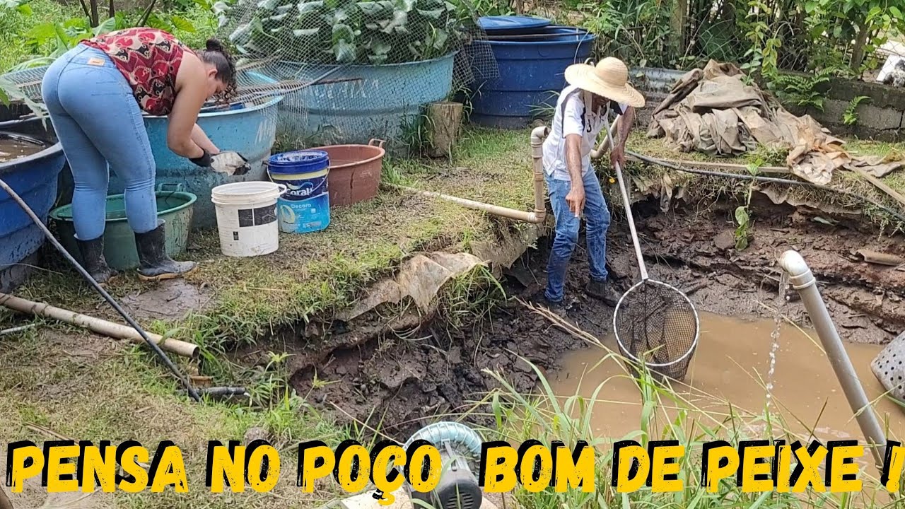 Sequei Esse Poço Tirar todas as TILAPIAS para o Patrão !!! gostei... @TILAPIA Minha Vida !