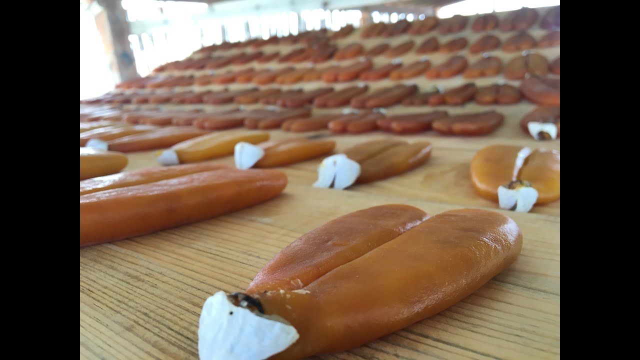 Kefal Balığı Havyar Yapım İşlemleri ( How is Mullet caviar processed ?)