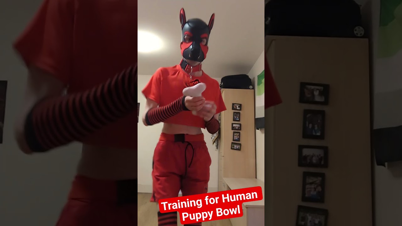 Human Puppy Bowl? When are signups? #humanpuppybowl #pupplay