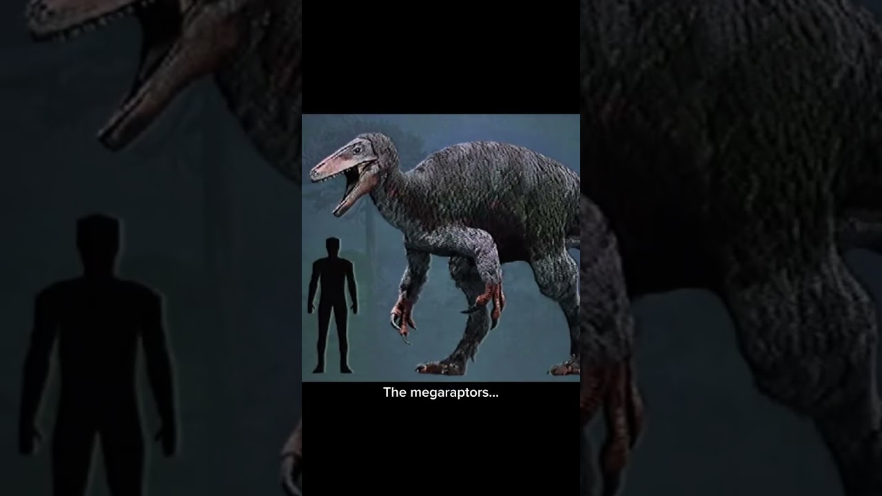 This is a clade of carnivorous theropod dinosaurs  Despite their name, the Megaraptors are not relat