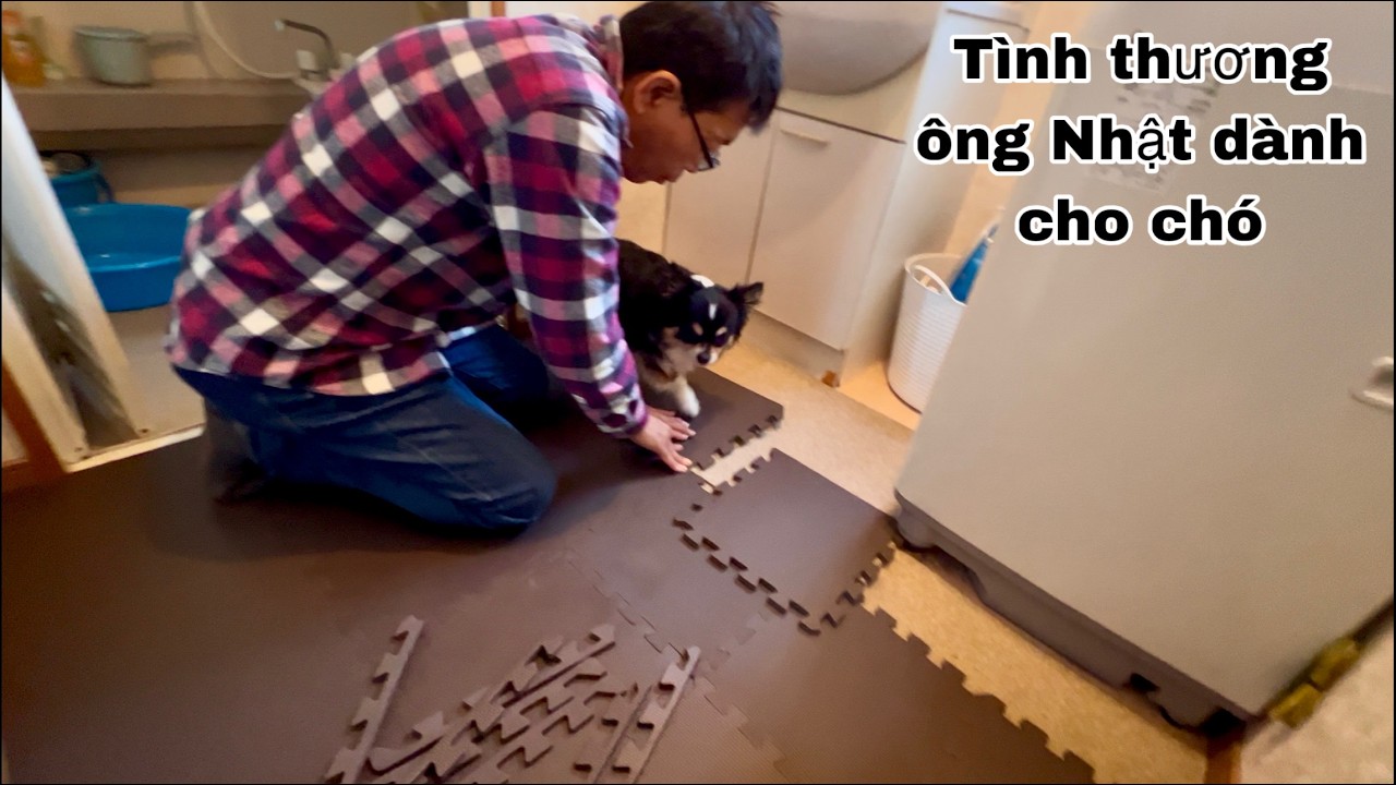 Ông Nhật thay đổi cách sống hơn trước khi có em cún bầu bạn tuy là nó không biết nói