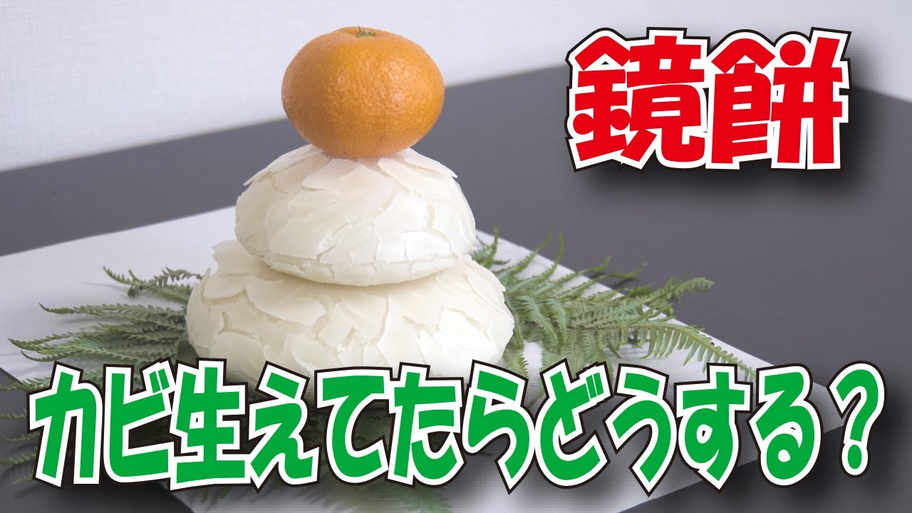 鏡餅ってカビが生えてても食べていいの？？？ 人吉