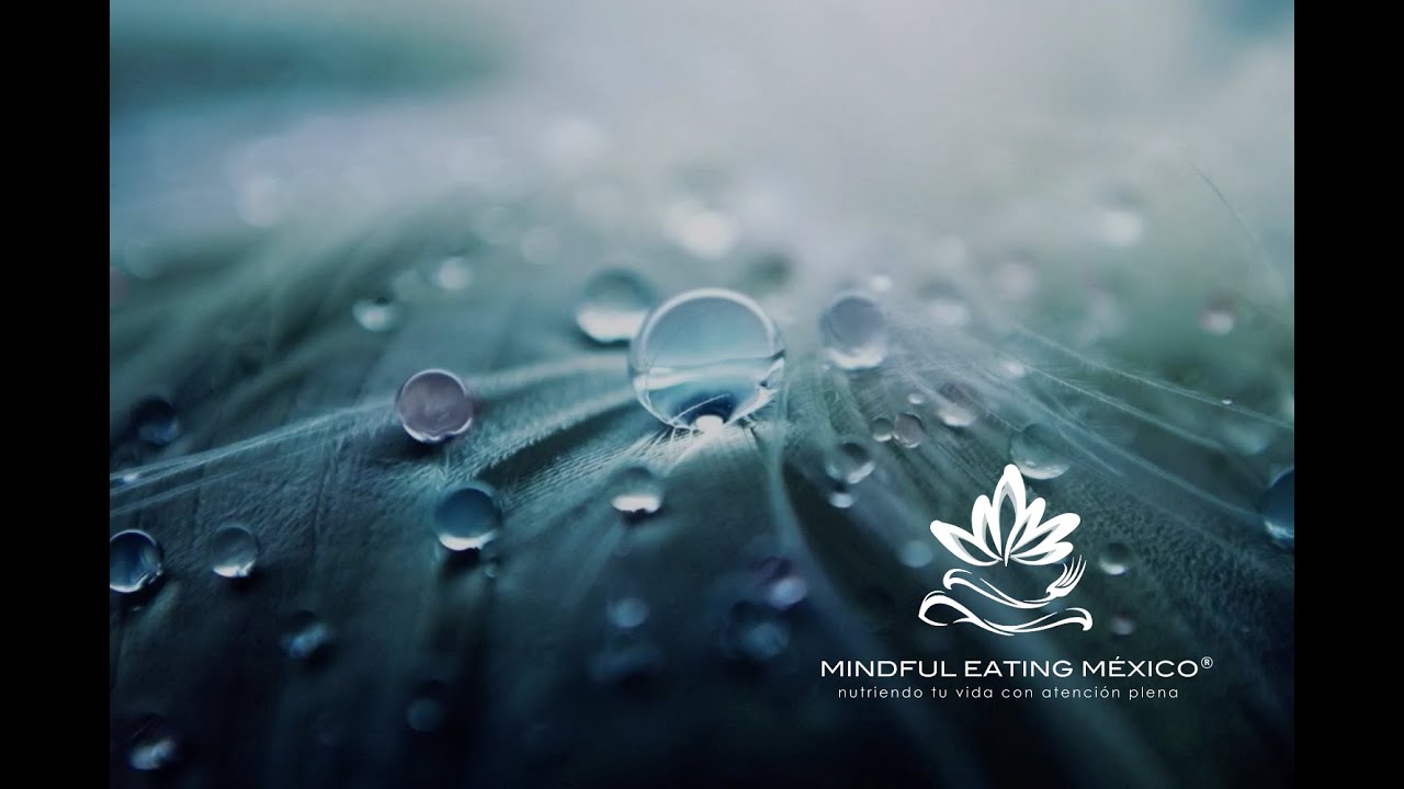 Meditación RAIN paso a paso: Cultivando compasión radical