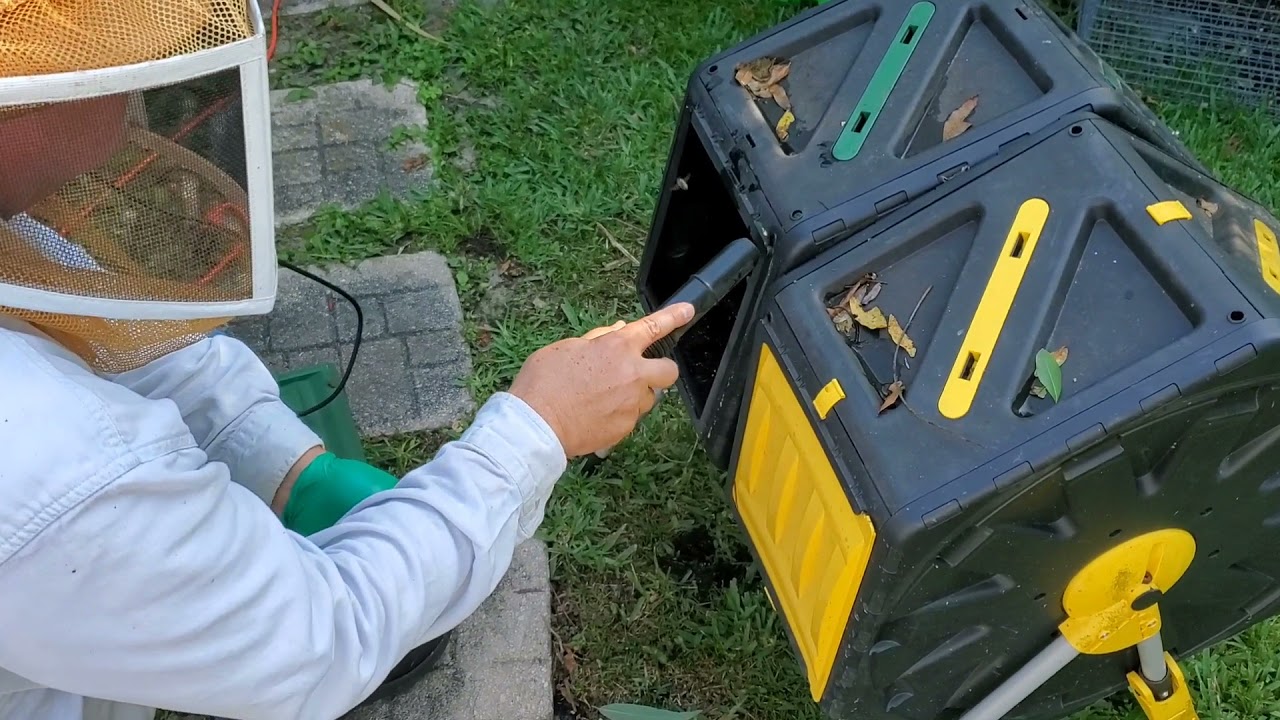 Tried out my Buckethead Bee Vacuum on a Sweet Little Swarm