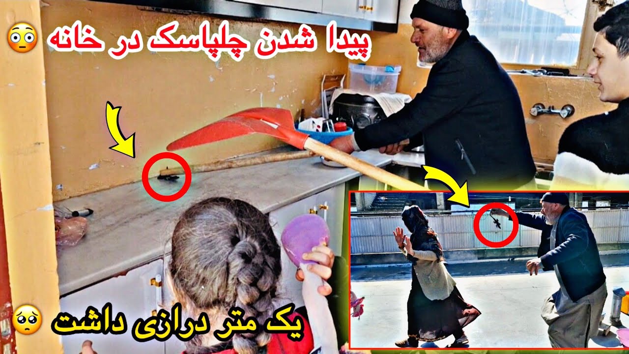 ولاگ فامیلی/ آماده کردن قروتی😋اما پیدا شدن چلپاسک در آشپزخانه ما😱نان را بالای ما زهر کرد🥺