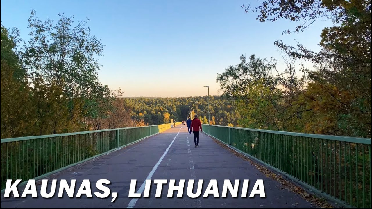 Walk in Panemunės Šilas • 2022 Autumn • 🇱🇹