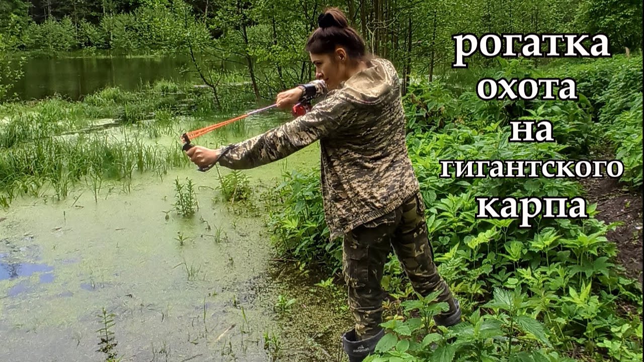 РОГАТКА! ОХОТА НА ГИГАНТСКОГО КАРПА!!!