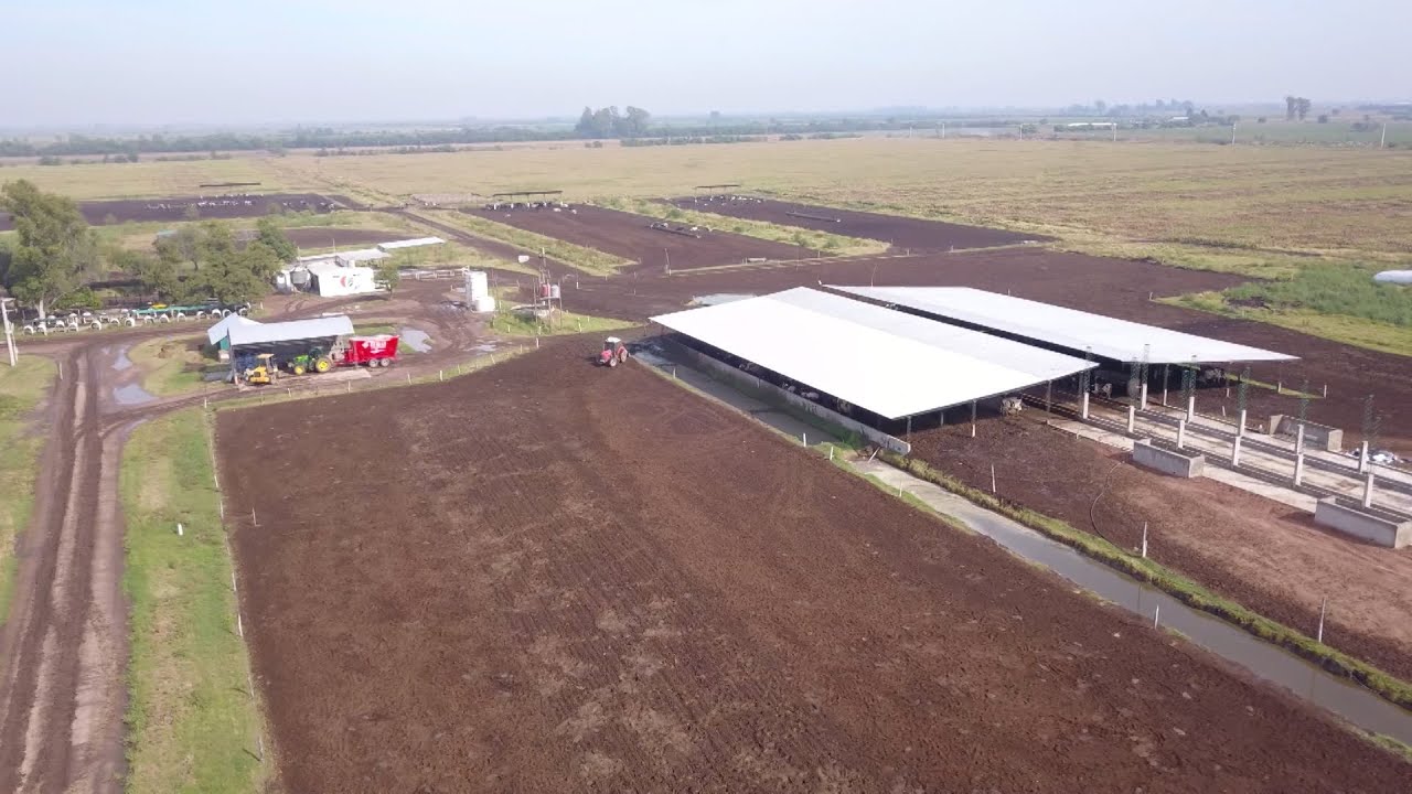 Tambo en crecimiento en San Guillermo (Santa Fe) / Mixer GEA de 20m3 - Perracino Litoral Maquinarias