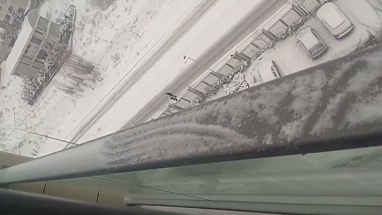 Snow falls in Ankara Turkey #snow #video #viral #reels 