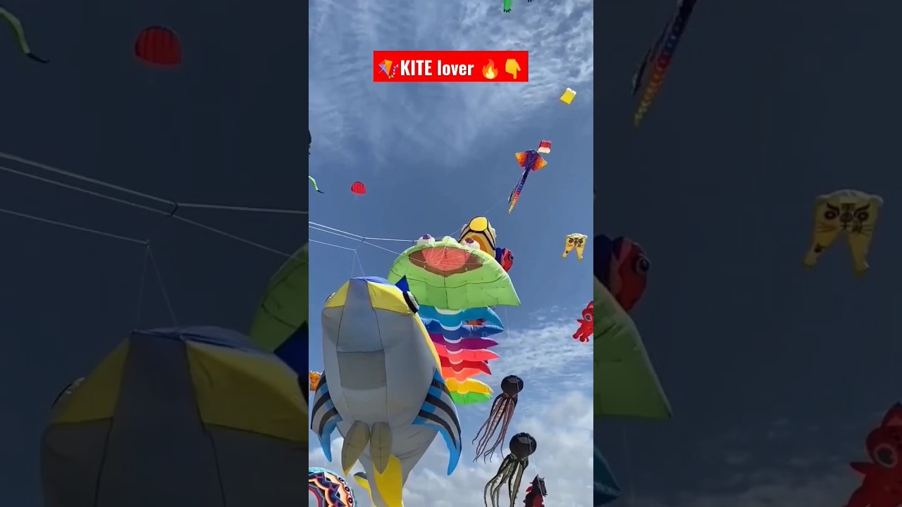 ⭕Different types of Kite fair 🪁 || Kite fair || Kite festival || #kitefair ##Differentkite #shorts