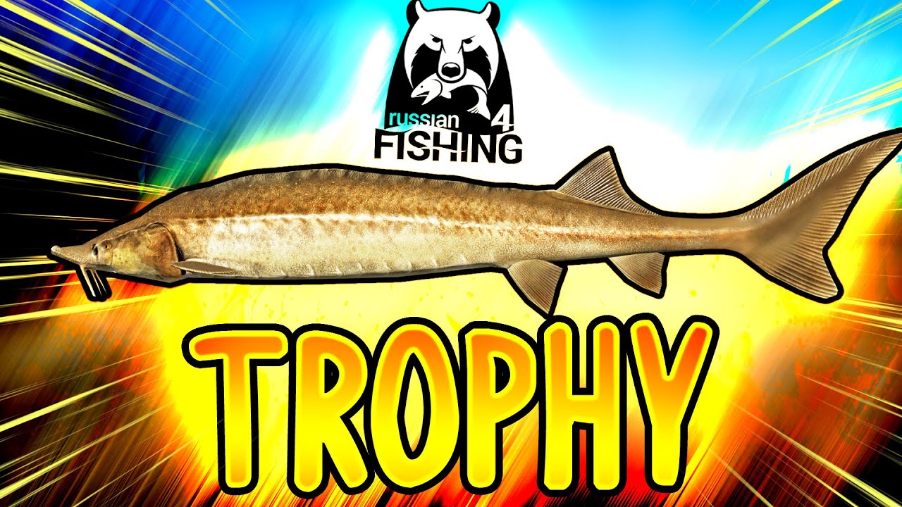 EAST SIBERIAN STURGEON TROPHY CATCH (PODMORNICA!) | Russian Fishing 4