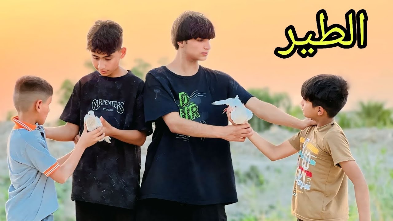 فلم قصير. الحمامه البيضه