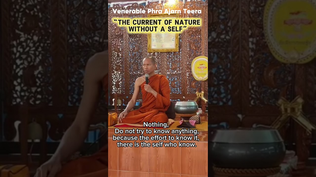 กระแสธรรมชาติไร้ตัวตน The current nature without self #ธรรมะ #dharma#awakening #awaken#endsuffering 