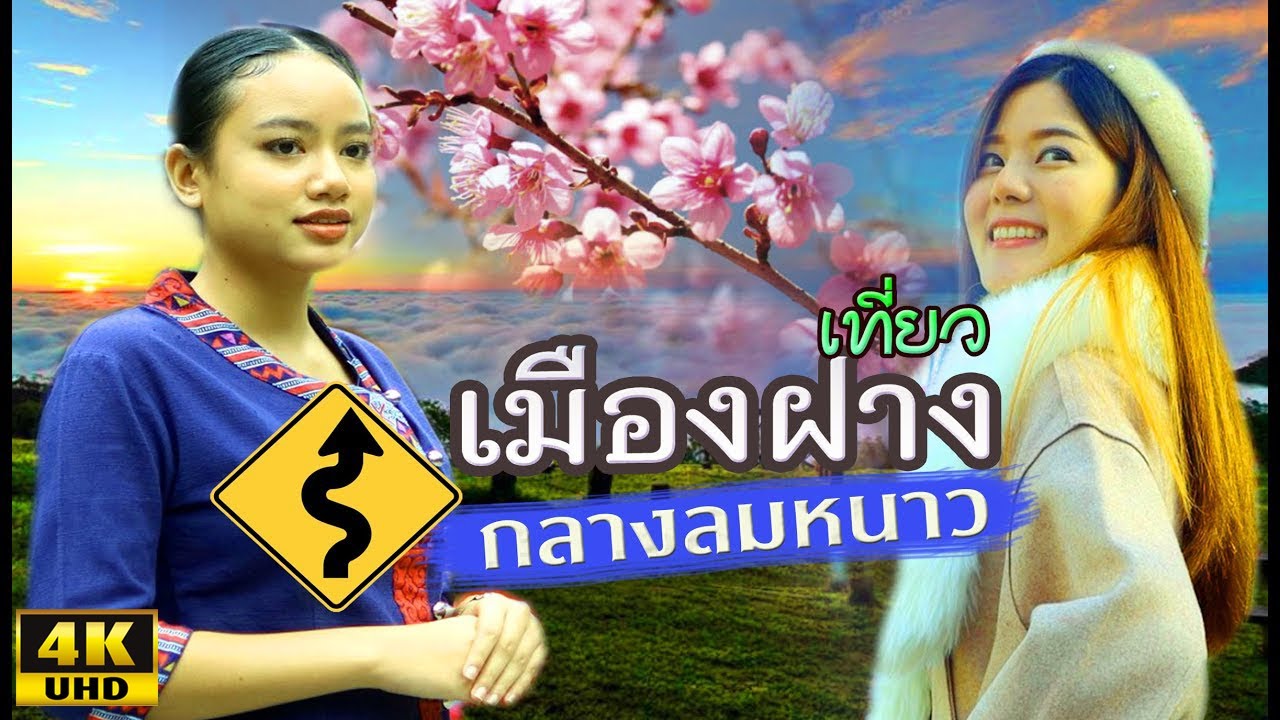 เที่ยวฝาง ดอยอ่างขาง ดอกซากุระ หมู่บ้านยาง สวนส้ม_สองสาวพาไปเที่ยว 前往清邁芳 Doi Ang Khang