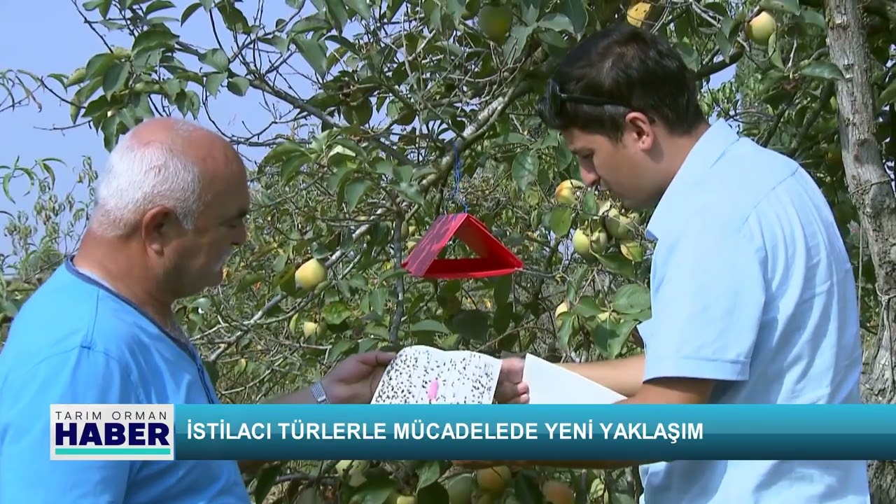 İstilacı türlerle mücadelede yeni yaklaşım