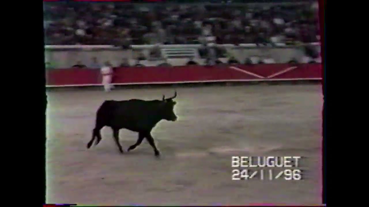 Despedida/Jubilé Christian Chomel 24/11/1996 Arènes de Nimes