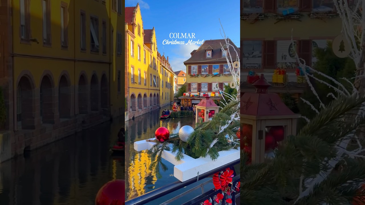 Colmar Christmas Market🌟🎄🎁 #colmar #france #christmas #christmasmarket #alsace