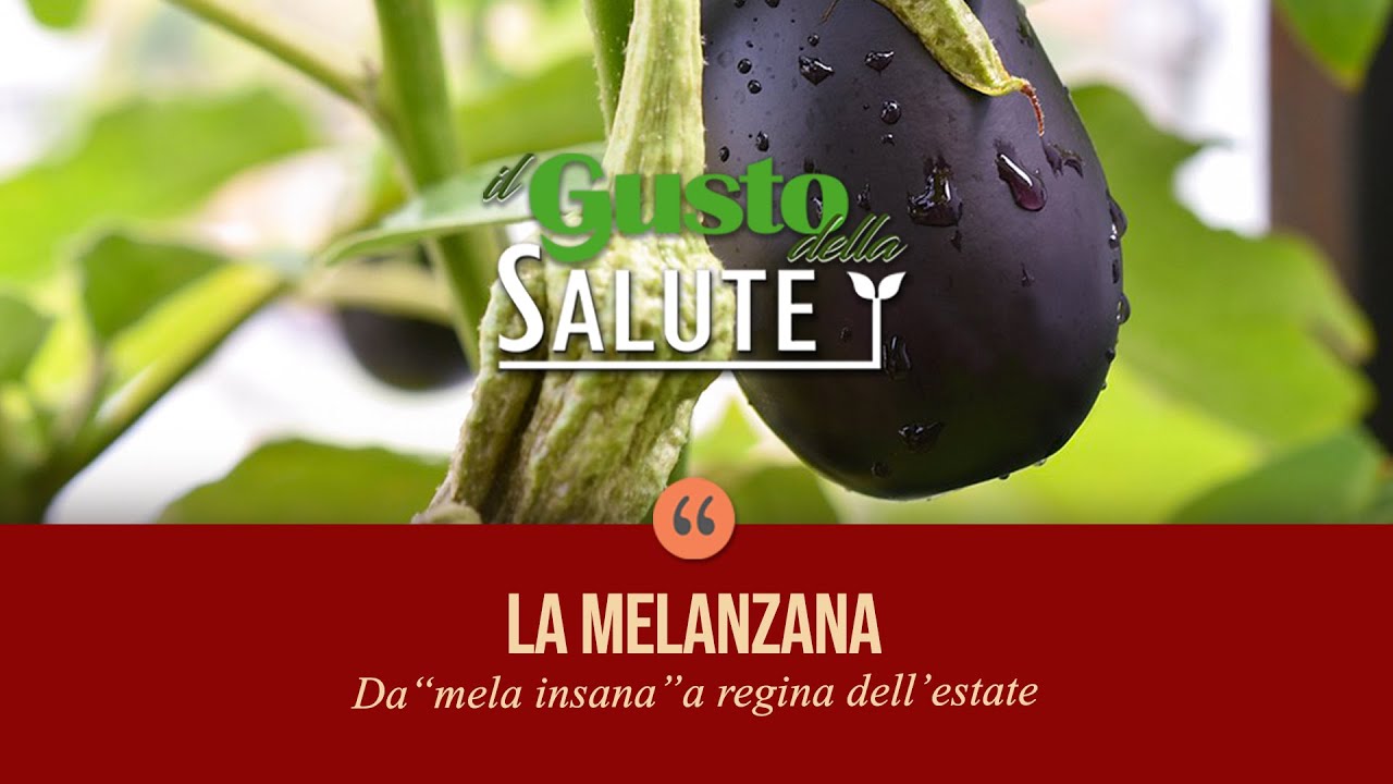 Il Gusto della Salute: la Melanzana