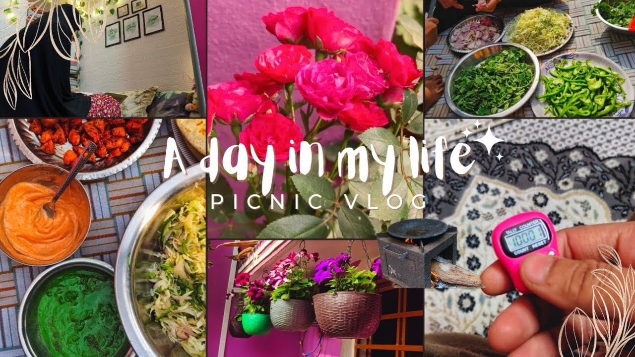 A Productive Day in My Life | Study, Salah, Routine & Cooking | Picnic Vlog | New year party 
