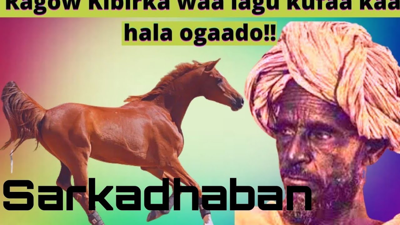 #Gabayada Iyo Suugaanta Sarkadhaban Ragii Kibray Aadan Galaydh Sugule aadan Carab dheere Cartan Boos