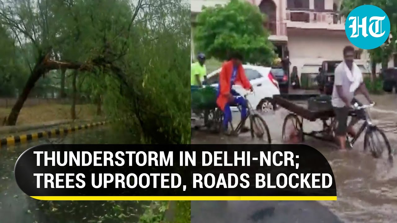 Delhi thunderstorm fury: Houses collapse, trees uprooted, power supply hit, flights disrupted