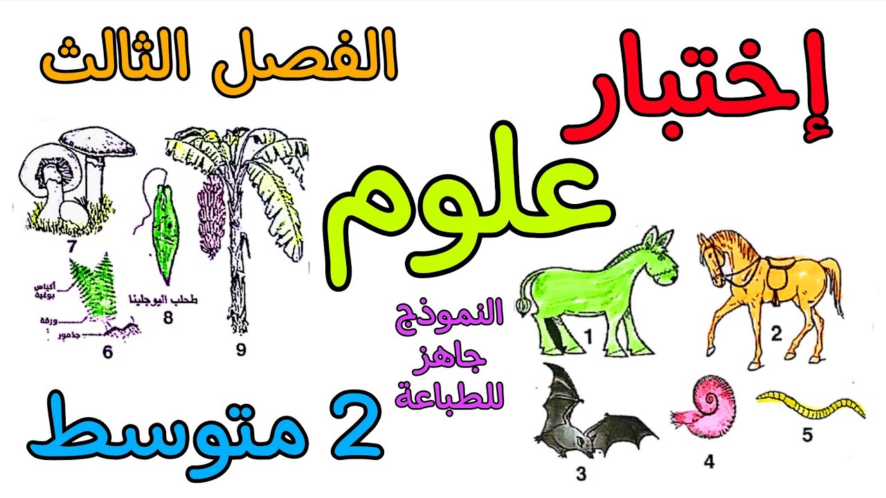 اختبار في مادة العلوم ثانية متوسط الفصل الثالث مع نموذج جاهز للطباعة