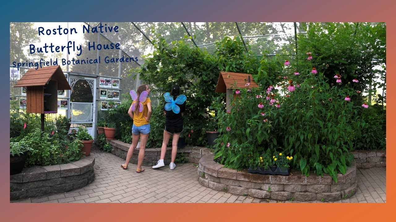 Springfield Missouri Botanical Garden has a BUTTERFLY HOUSE!