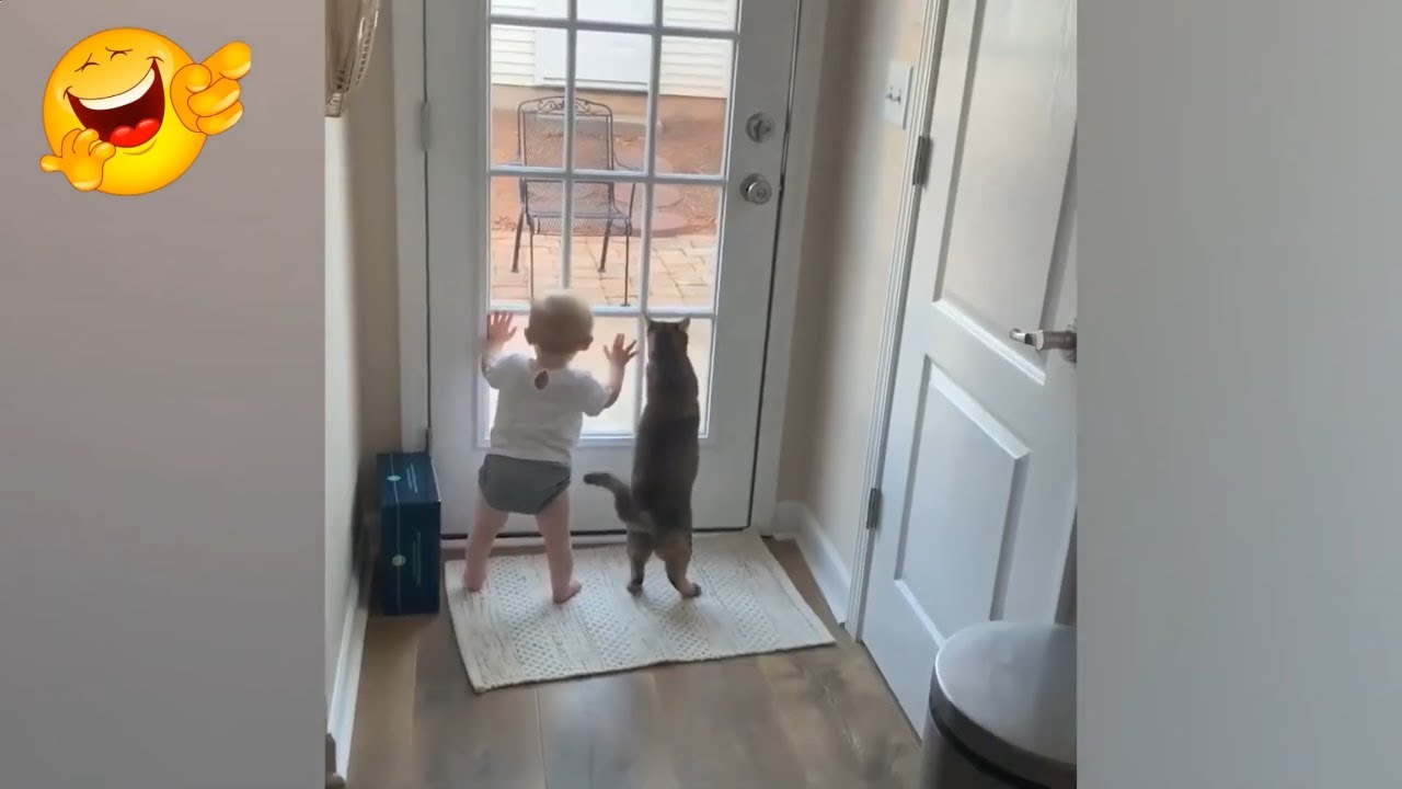 Funny Videos №16 - Смешные видео №16 - Baby and Cat